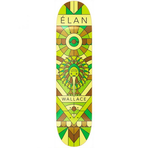 Elan Kiwi Shane Wallace 7.25" Skateboard Deck